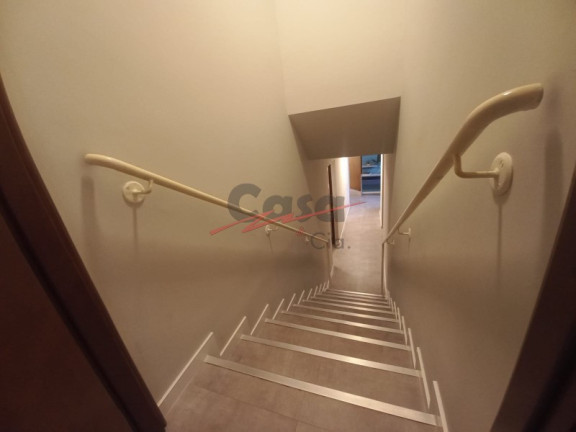 Imagem Sala Comercial para Alugar, 393 m² em Jardim Sumaré - Ribeirão Preto
