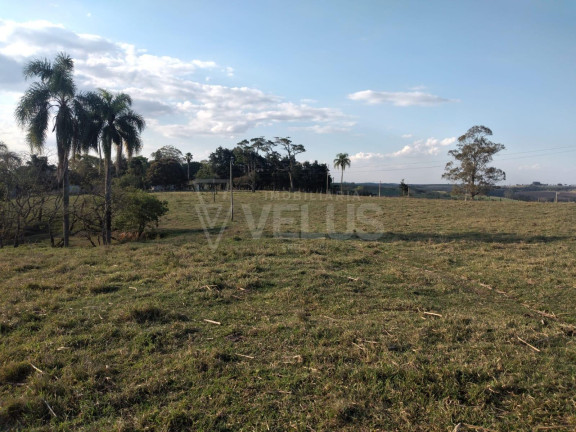 Imagem Imóvel à Venda, 242.000 m² em Santa Cruz Dos Matos - Itapetininga