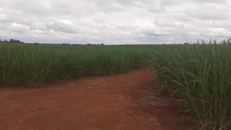 Imagem Fazenda à Venda, 307 m² em Rural - Tatuí Imagem Fazenda à Venda, 307 m² em Rural - Tatuí