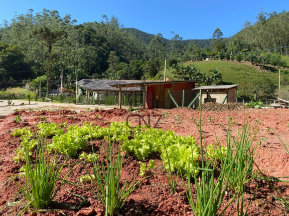 Imagem Imóvel com 2 Quartos à Venda, 9.000 m² em Centro - Botuverá