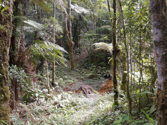 Imagem Chácara à Venda, 6 m² em Zona Rural - Tapiraí Imagem Chácara à Venda, 6 m² em Zona Rural - Tapiraí