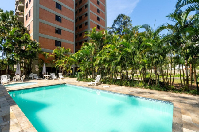Imagem Apartamento com 3 Quartos à Venda, 82 m² em Paraíso Do Morumbi - São Paulo Imagem Apartamento com 3 Quartos à Venda, 82 m² em Paraíso Do Morumbi - São Paulo