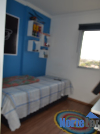 Imagem Apartamento com 3 Quartos à Venda, 73 m² em Vila Amélia - São Paulo