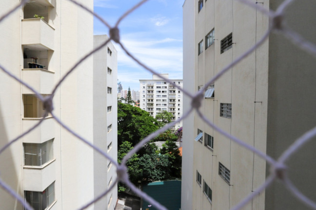 Imagem Apartamento com 3 Quartos à Venda, 244 m² em Higienópolis - São Paulo Imagem Apartamento com 3 Quartos à Venda, 244 m² em Higienópolis - São Paulo