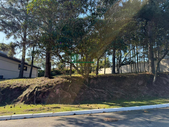 Imagem Terreno à Venda, 1 m² em Parque Rincão - Cotia Imagem Terreno à Venda, 1 m² em Parque Rincão - Cotia