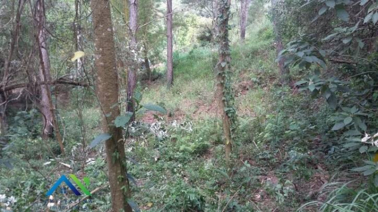 Imagem Terreno à Venda, 1.439 m² em Estância São Paulo - Campo Limpo Paulista Imagem Terreno à Venda, 1.439 m² em Estância São Paulo - Campo Limpo Paulista