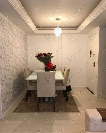 Imagem Apartamento com 3 Quartos à Venda, 58 m² em Paraisópolis - São Paulo Imagem Apartamento com 3 Quartos à Venda, 58 m² em Paraisópolis - São Paulo