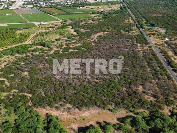 Imagem Fazenda à Venda, em área Rual - Petrolina Imagem Fazenda à Venda, em área Rual - Petrolina