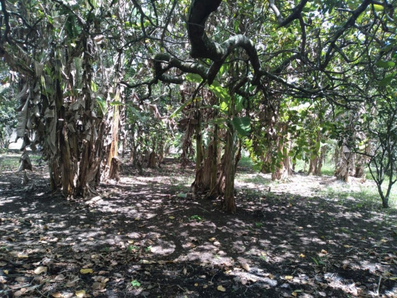 Imagem Terreno à Venda, 2.800 m² em Rural - Paudalho Imagem Terreno à Venda, 2.800 m² em Rural - Paudalho