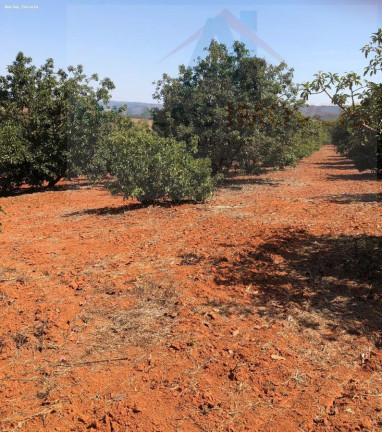 Imagem Chácara à Venda, 2.000 m² em Serra Azul Imagem Chácara à Venda, 2.000 m² em Serra Azul