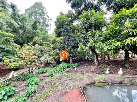 Imagem Chácara com 4 Quartos à Venda, 4.000 m² em Jardim Geriva - Santa Bárbara D'oeste Imagem Chácara com 4 Quartos à Venda, 4.000 m² em Jardim Geriva - Santa Bárbara D'oeste