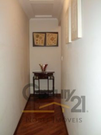 Imagem Apartamento com 3 Quartos à Venda, 120 m² em Vila Paulicéia - São Paulo