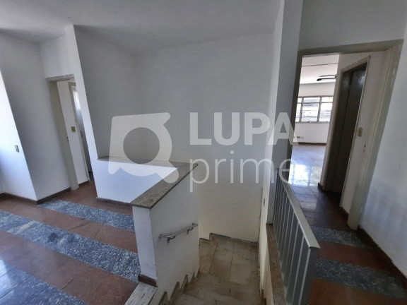 Imagem Imóvel Comercial para Alugar, 75 m² em Vila Maria Baixa - São Paulo Imagem Imóvel Comercial para Alugar, 75 m² em Vila Maria Baixa - São Paulo