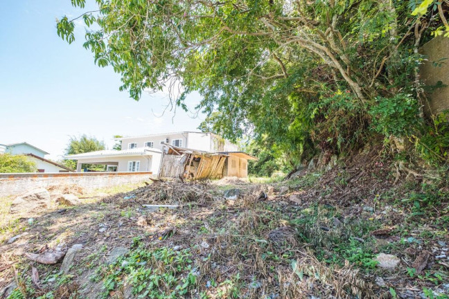 Imagem Terreno à Venda, 632 m² em Ponta Das Canas - Florianópolis