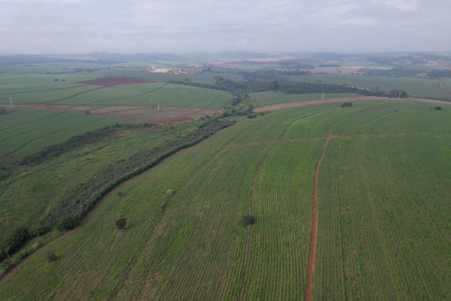 Imagem Fazenda à Venda, 53 m² em Zona Rural - Ipauçu Imagem Fazenda à Venda, 53 m² em Zona Rural - Ipauçu