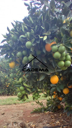 Imagem Fazenda à Venda, 300 m² em Area Rural - Lins