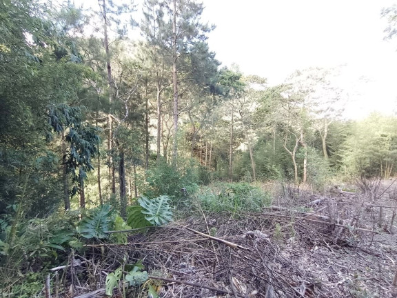 Imagem Terreno à Venda, 1.530 m² em Cascata Dos Amores - Teresópolis Imagem Terreno à Venda, 1.530 m² em Cascata Dos Amores - Teresópolis