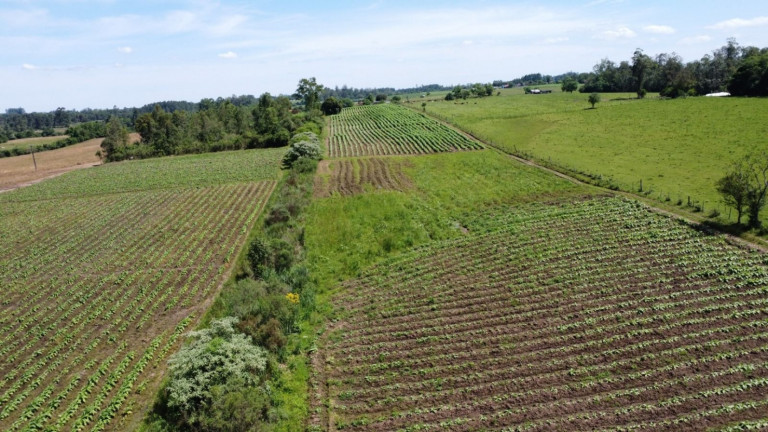 Imagem Chácara com 2 Quartos à Venda, 68.000 m² em Zona Rural - Vale Do Sol Imagem Chácara com 2 Quartos à Venda, 68.000 m² em Zona Rural - Vale Do Sol