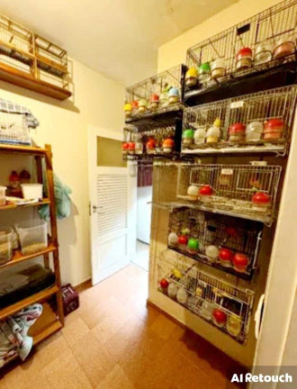 Imagem Apartamento com 3 Quartos à Venda, 97 m² em Tijuca - Rio De Janeiro