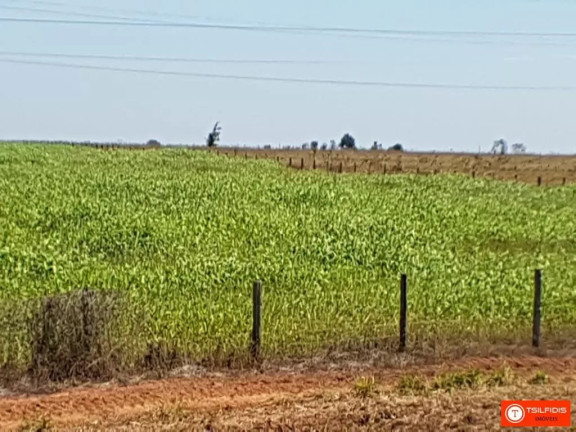 Imagem Fazenda à Venda, 72.600 m² em Zona Rural - Sinop Imagem Fazenda à Venda, 72.600 m² em Zona Rural - Sinop