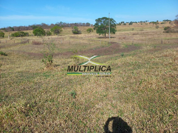 Fazenda à Venda, 196 m² em Campina Verde