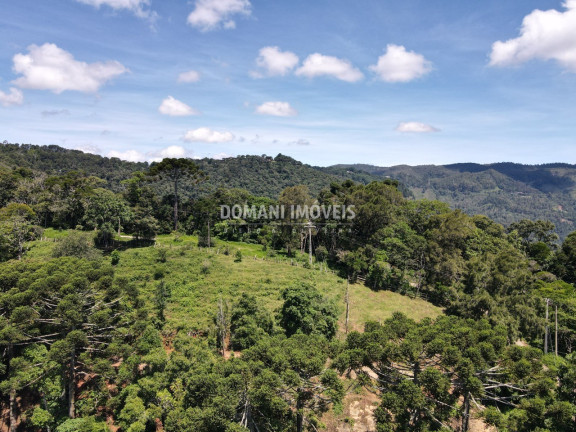 Imagem Imóvel com 2 Quartos à Venda, 1.360 m² em Região Do Toriba - Campos Do Jordão Imagem Imóvel com 2 Quartos à Venda, 1.360 m² em Região Do Toriba - Campos Do Jordão