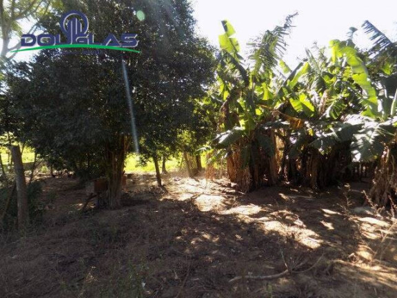 Imagem Imóvel Comercial à Venda, 5.000 m² em águas Claras - Viamão Imagem Imóvel Comercial à Venda, 5.000 m² em águas Claras - Viamão
