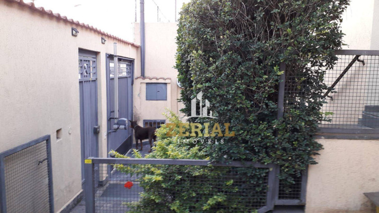 Imagem Casa com 3 Quartos à Venda, 196 m² em Vila Palmares - Santo André