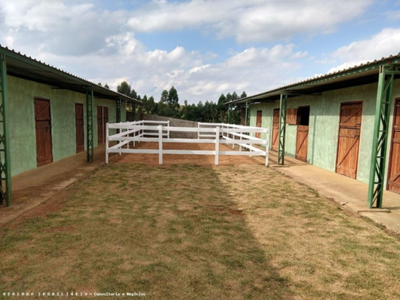 Imagem Chácara com 3 Quartos à Venda, 1 m² em Atibaianos - Bragança Paulista