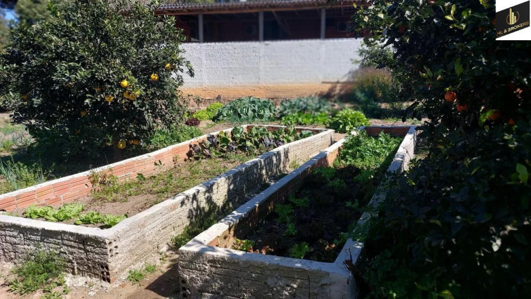 Imagem Imóvel com 5 Quartos à Venda, 24.000 m² em Centro (espigão Das Antas) - Mandirituba