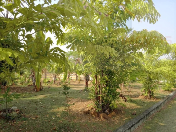 Imagem Fazenda à Venda, 98 m² em Esmeraldas Imagem Fazenda à Venda, 98 m² em Esmeraldas