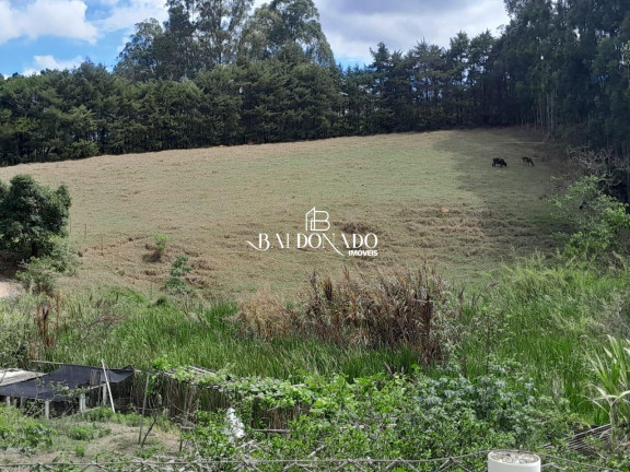 Imagem Terreno à Venda, 6.000 m² em Camanducaia - Camanducaia Imagem Terreno à Venda, 6.000 m² em Camanducaia - Camanducaia