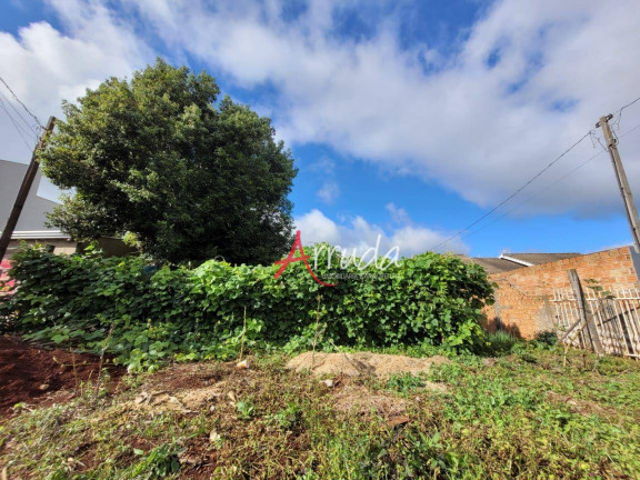 Imagem Terreno à Venda, 650 m² em Santa Felicidade - Cascavel Imagem Terreno à Venda, 650 m² em Santa Felicidade - Cascavel