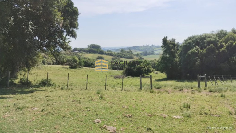 Imagem Imóvel com 2 Quartos à Venda, 180.000 m² em Capela Da Buena - Morro Redondo Imagem Imóvel com 2 Quartos à Venda, 180.000 m² em Capela Da Buena - Morro Redondo