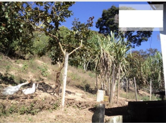 Imagem Chácara com 2 Quartos à Venda, 1.440 m² em Terra Preta - Mairiporã
