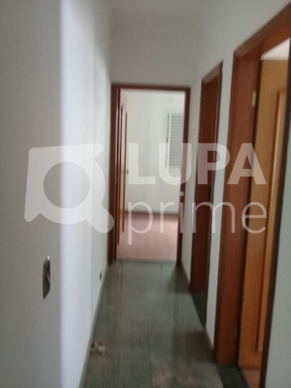 Imagem Casa com 3 Quartos à Venda, 135 m² em Jardim Avelino - São Paulo