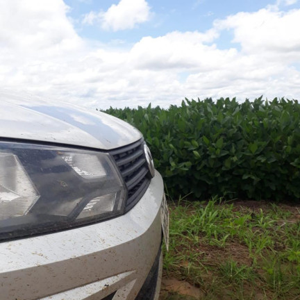 Imagem Fazenda à Venda, 910 m² em Rural - São Francisco Do Maranhão Imagem Fazenda à Venda, 910 m² em Rural - São Francisco Do Maranhão
