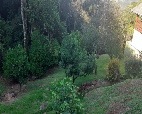 Imagem Imóvel com 3 Quartos à Venda,  em Linha Brasil - Nova Petrópolis