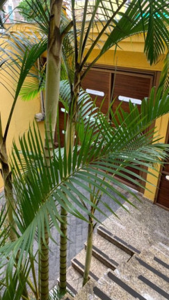 Imagem Sobrado com 3 Quartos à Venda, 250 m² em Vila Santa Helena - Poá Imagem Sobrado com 3 Quartos à Venda, 250 m² em Vila Santa Helena - Poá