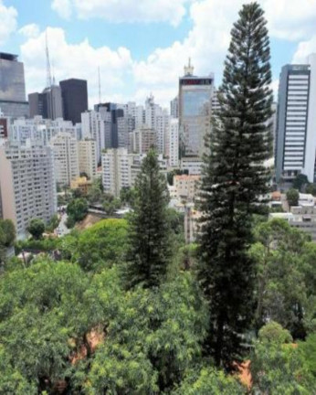 Imagem Apartamento com 1 Quarto à Venda, 38 m² em Morro Dos Ingleses - São Paulo Imagem Apartamento com 1 Quarto à Venda, 38 m² em Morro Dos Ingleses - São Paulo