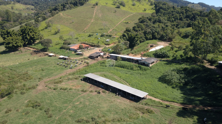 Imagem Imóvel com 3 Quartos à Venda, 11 m² em Barreiro 2 (rural) - Caldas