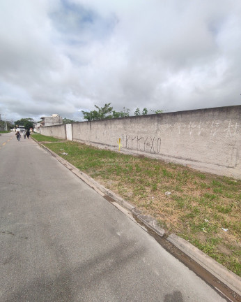 Imagem Terreno à Venda, 5.000 m² em Centro - Pinhais
