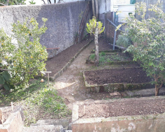 Imagem Imóvel com 3 Quartos à Venda,  em Rio Branco - Caxias Do Sul