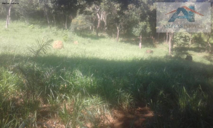 Imagem Fazenda à Venda, 37 m² em Mateus Leme - Mateus Leme