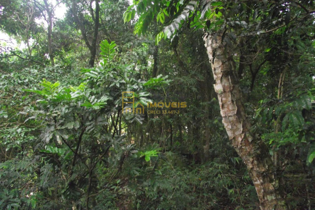 Imagem Terreno à Venda, 2.358 m² em Parque Alvorada - Santana De Parnaíba Imagem Terreno à Venda, 2.358 m² em Parque Alvorada - Santana De Parnaíba