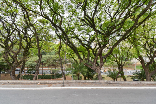Imagem Casa à Venda, 280 m² em Bela Vista - São Paulo Imagem Casa à Venda, 280 m² em Bela Vista - São Paulo