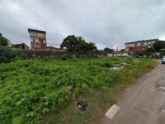 Imagem Terreno à Venda, 470 m² em Barra De Jangada - Jaboatão Dos Guararapes Imagem Terreno à Venda, 470 m² em Barra De Jangada - Jaboatão Dos Guararapes