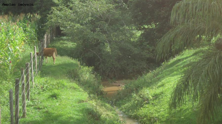 Imagem Fazenda à Venda, 6 m² em Azurita - Mateus Leme Imagem Fazenda à Venda, 6 m² em Azurita - Mateus Leme