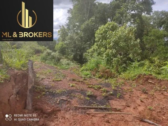 Imagem Imóvel à Venda, 20.000 m² em Sao Silvestre - Campo Largo