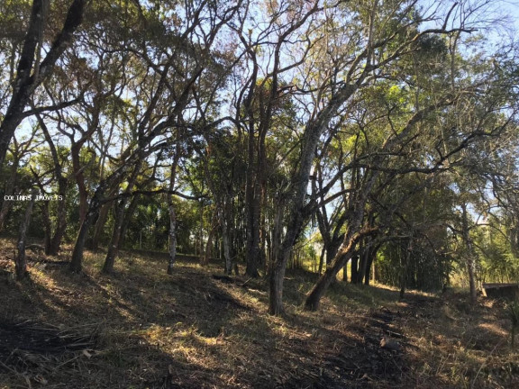 Imagem Terreno à Venda,  em Antes Do Centro - Ibiúna